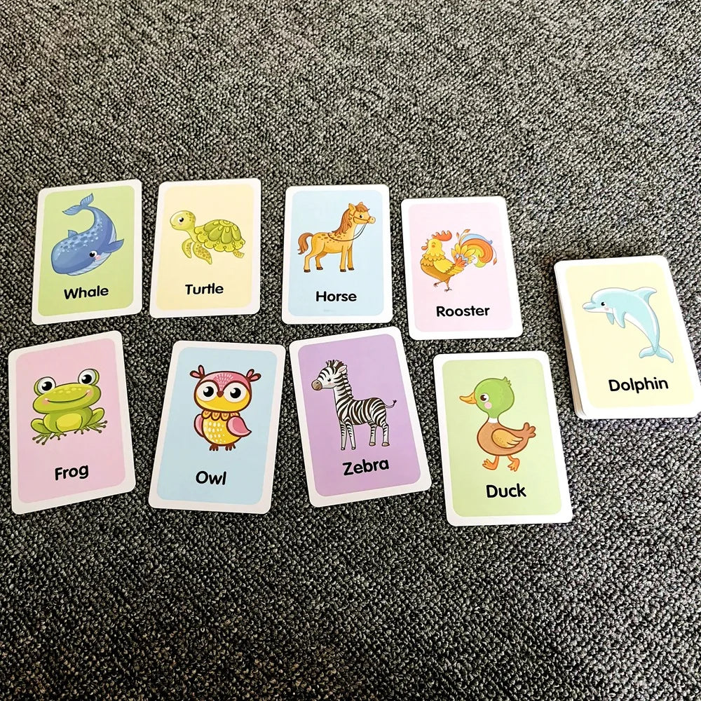 Educational Flash Cards