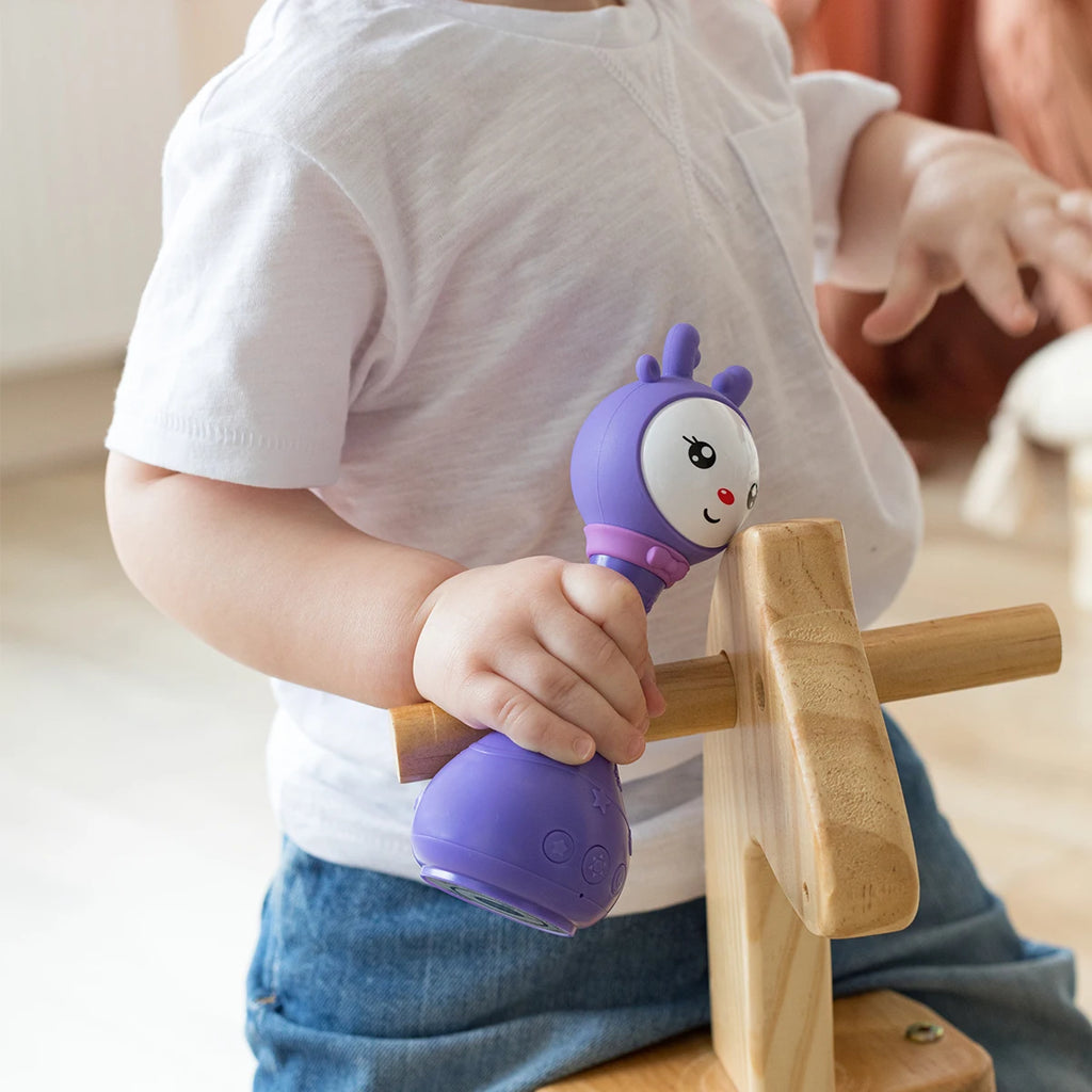 Baby Teether Rattle