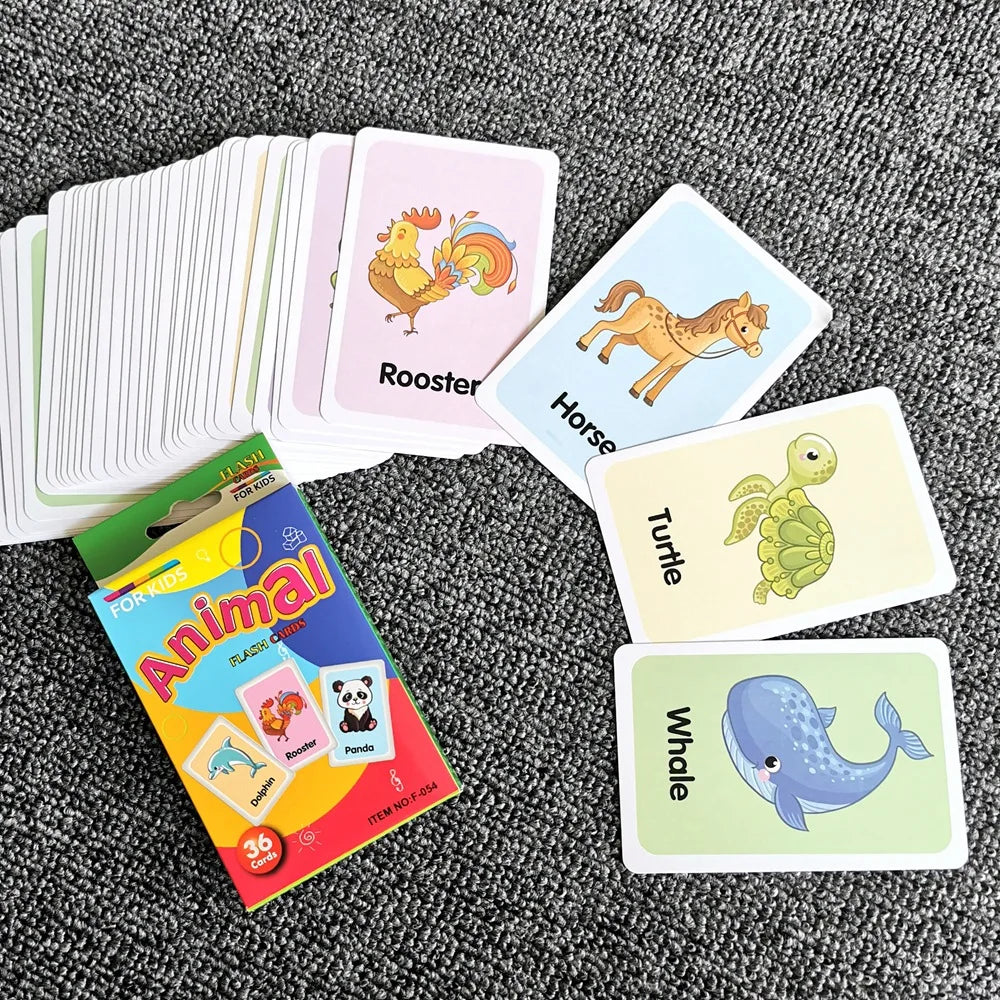 Educational Flash Cards